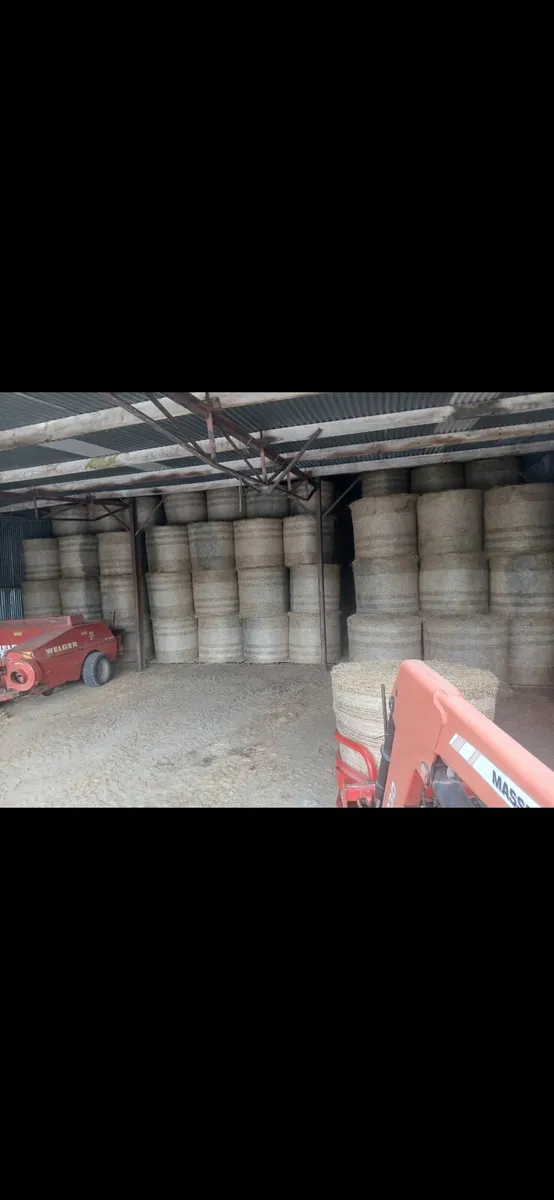 Hay - Image 1
