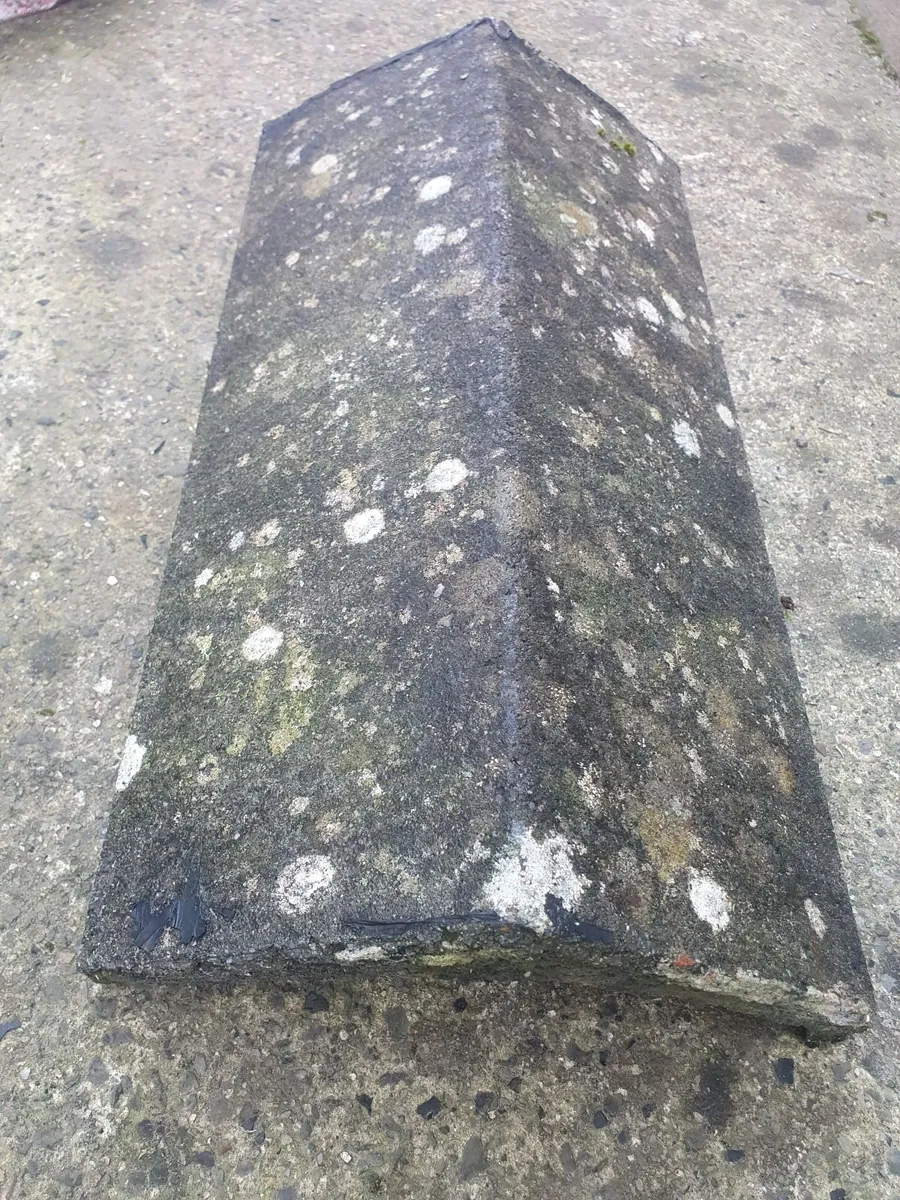 Ridge caps - Image 2