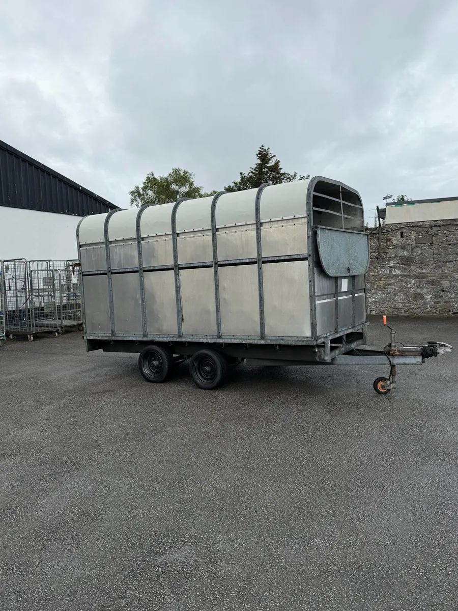 12 x6”6 ft Murphys livestock/ covered in trailer - Image 2