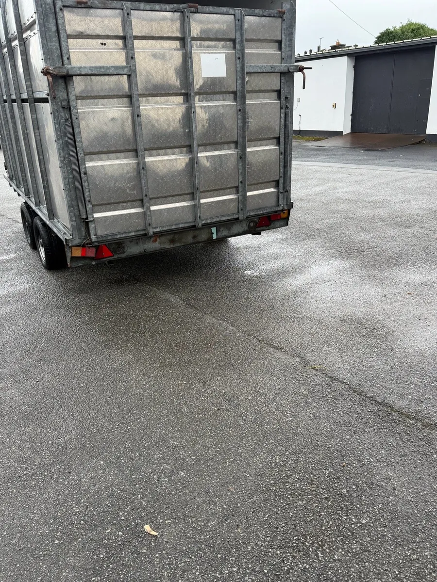 12 x6”6 ft Murphys livestock/ covered in trailer - Image 3