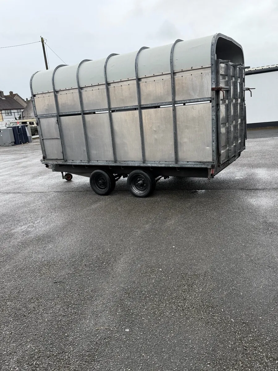12 x6”6 ft Murphys livestock/ covered in trailer - Image 4