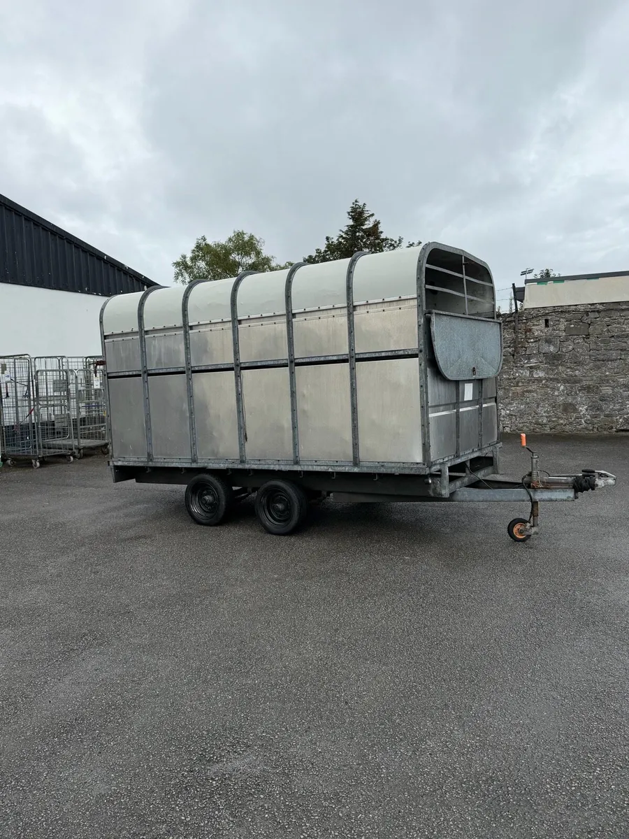 12 x6”6 ft Murphys livestock/ covered in trailer - Image 3