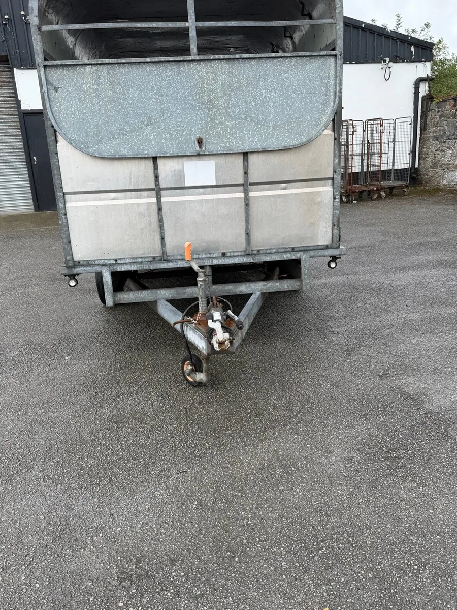 12 x6”6 ft Murphys livestock/ covered in trailer - Image 4