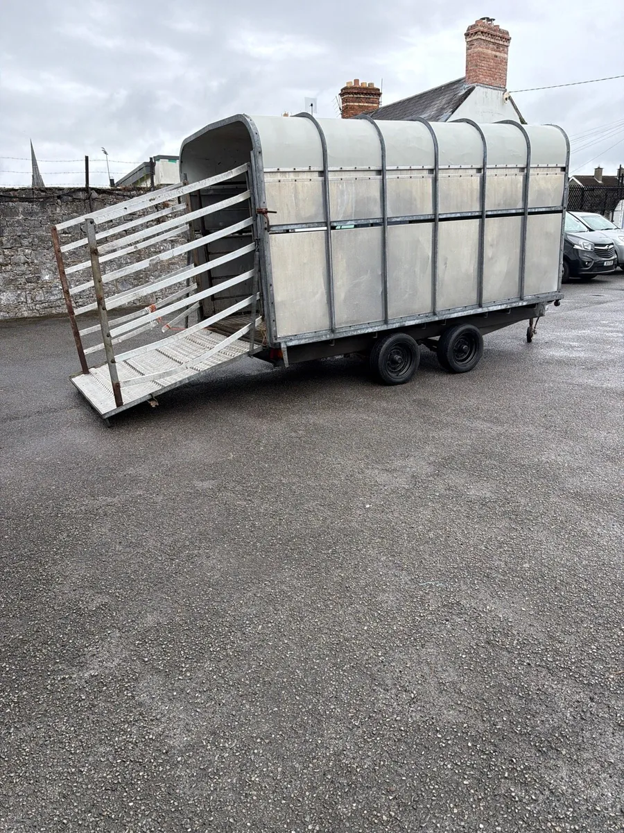 12 x6”6 ft Murphys livestock/ covered in trailer - Image 2