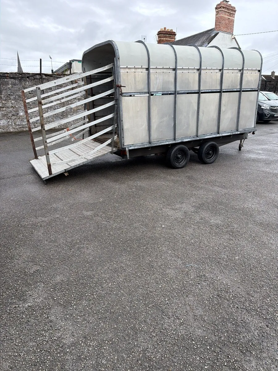 12 x6”6 ft Murphys livestock/ covered in trailer - Image 1