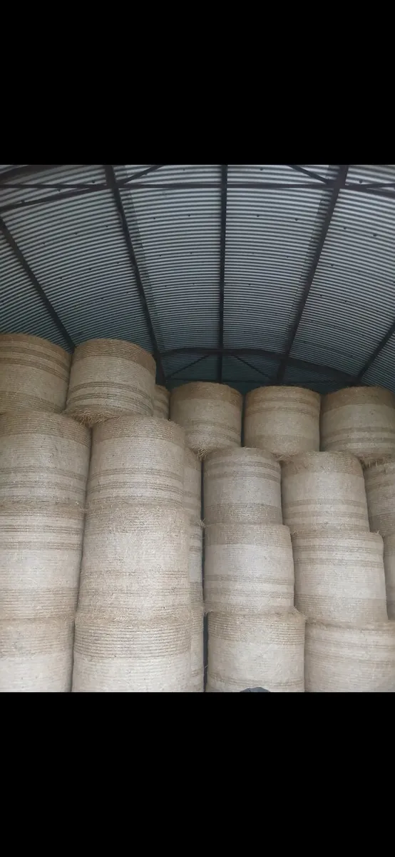 Hay - Image 2