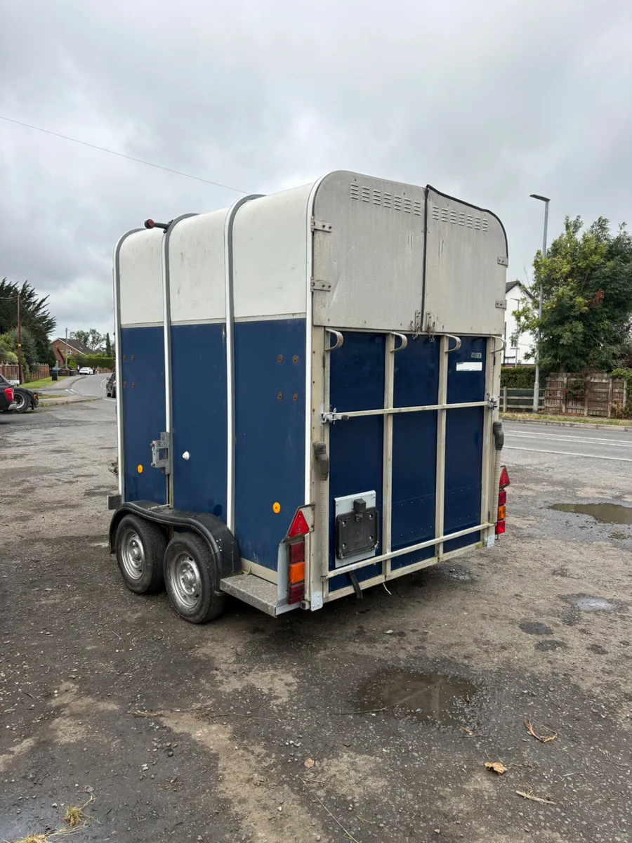 Ifor Williams 510 horse box - Image 2