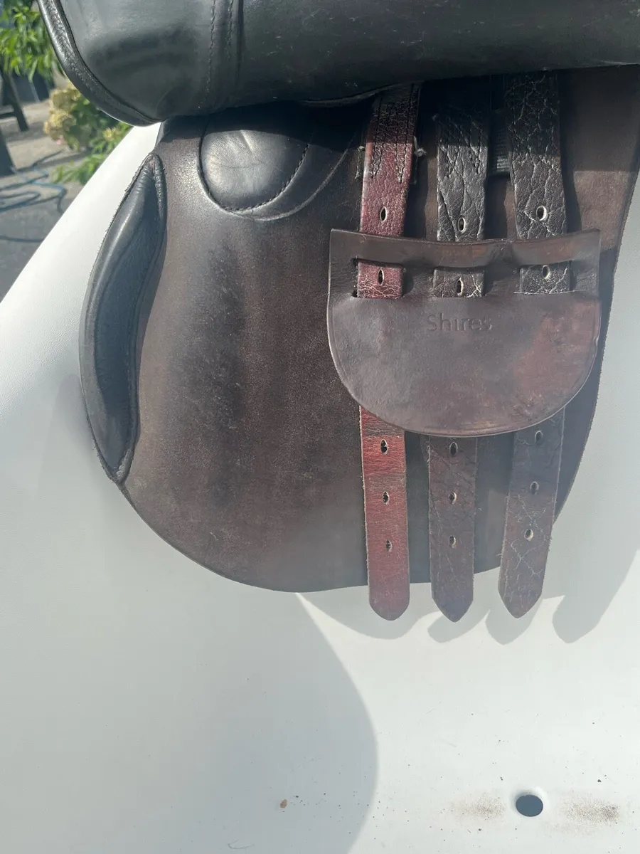Berney Bros saddle - Image 3