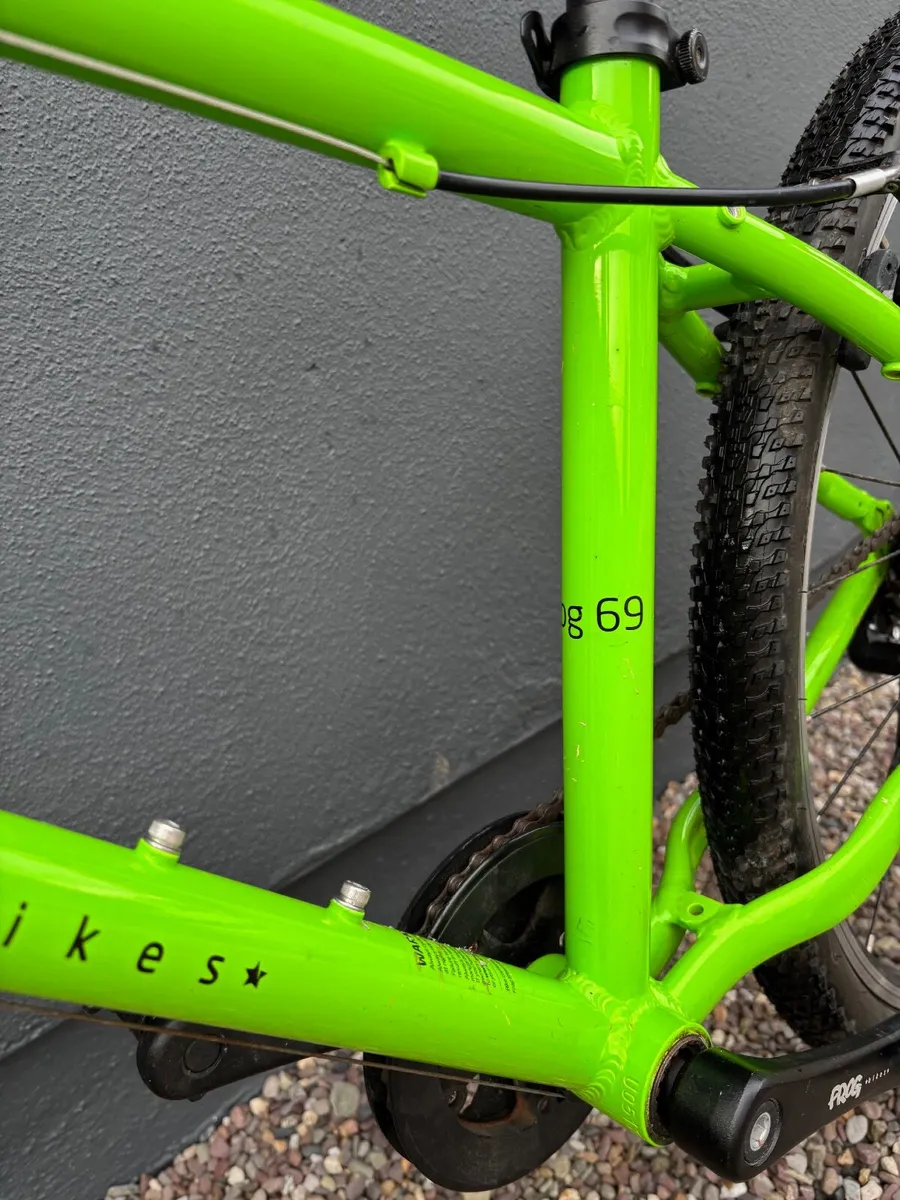 Frog 69 - Image 2