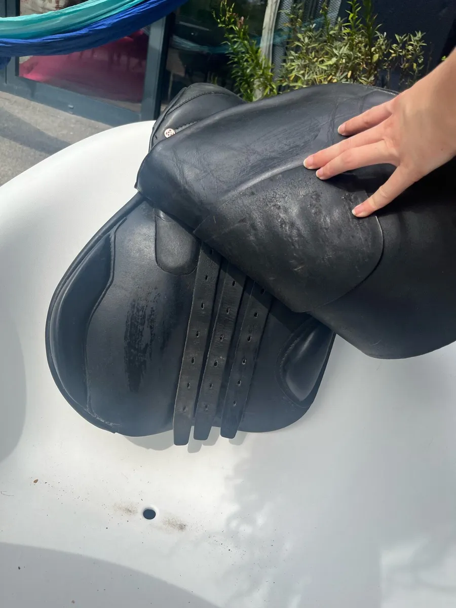 Lemetex Saddle - Image 4