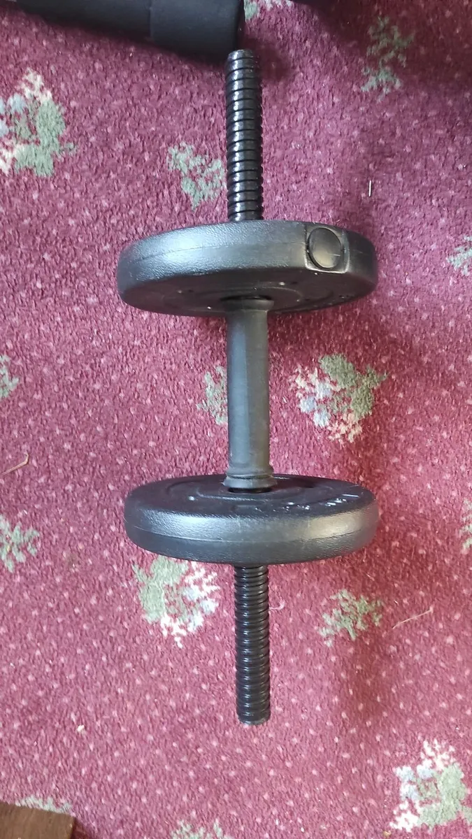 HOME GYM SET 27.5kg Plates + 12kg Kettlebell 40 - Image 2