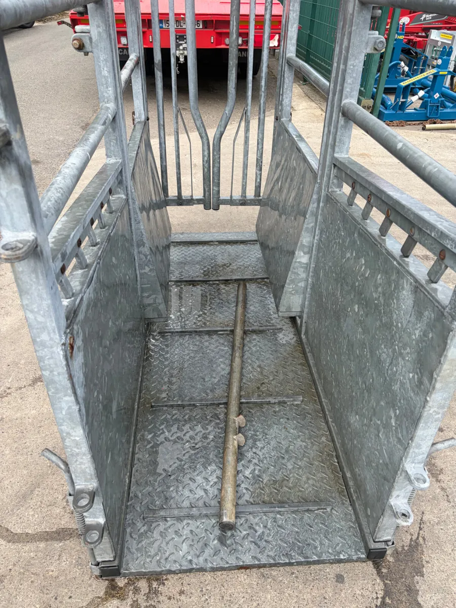 Bateman Cattle crush - Image 3