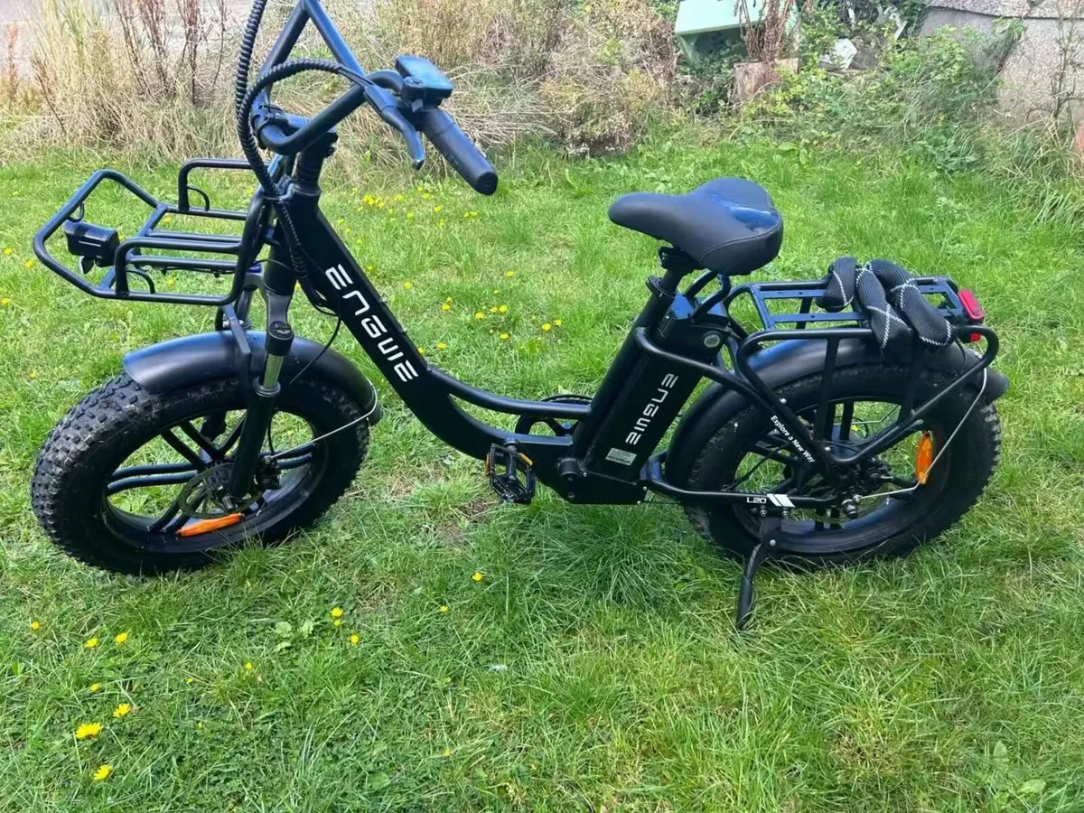 Elctric bike - Image 2