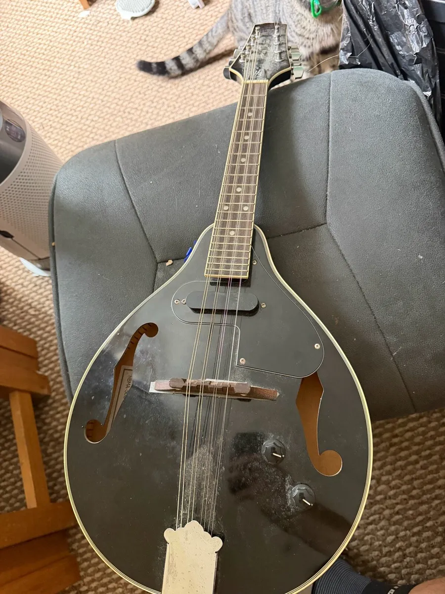 Harley Benton Electric Mandolin