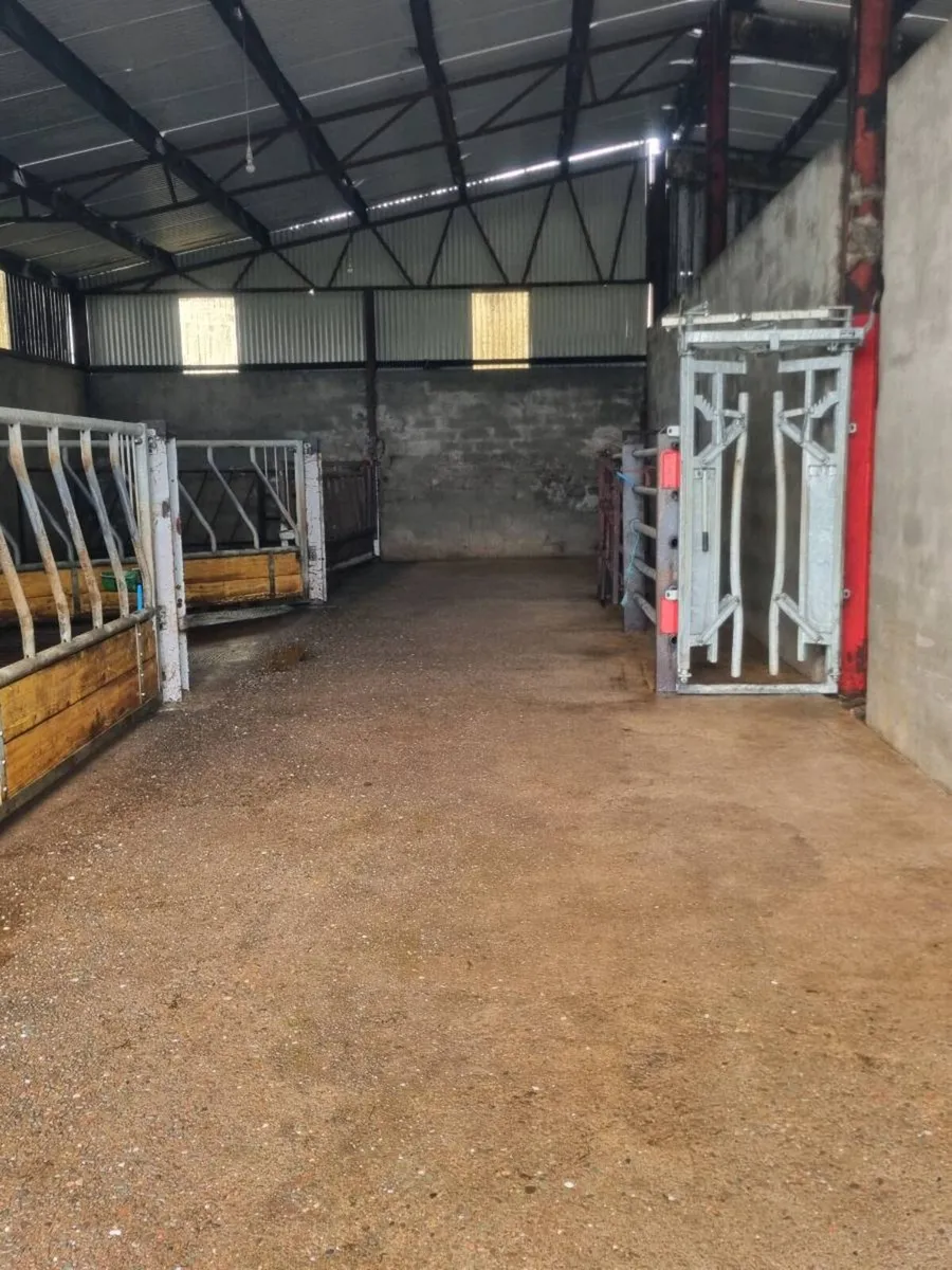 Powerwashing service - Image 2