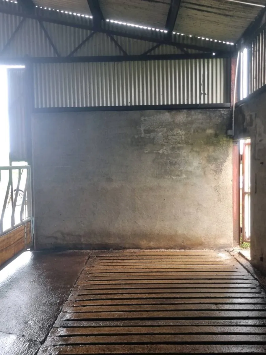 Powerwashing service - Image 4