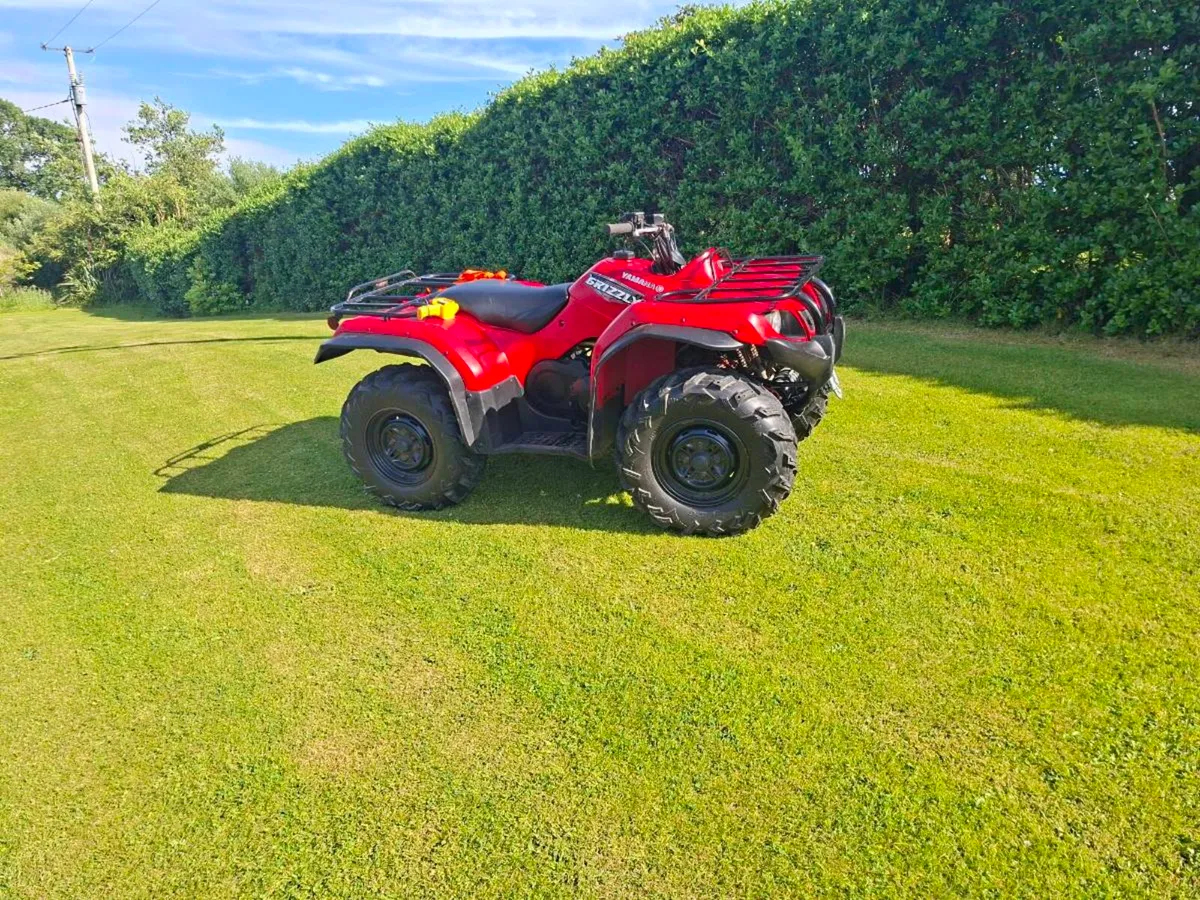 Yamaha Grizzly 350cc - Image 2
