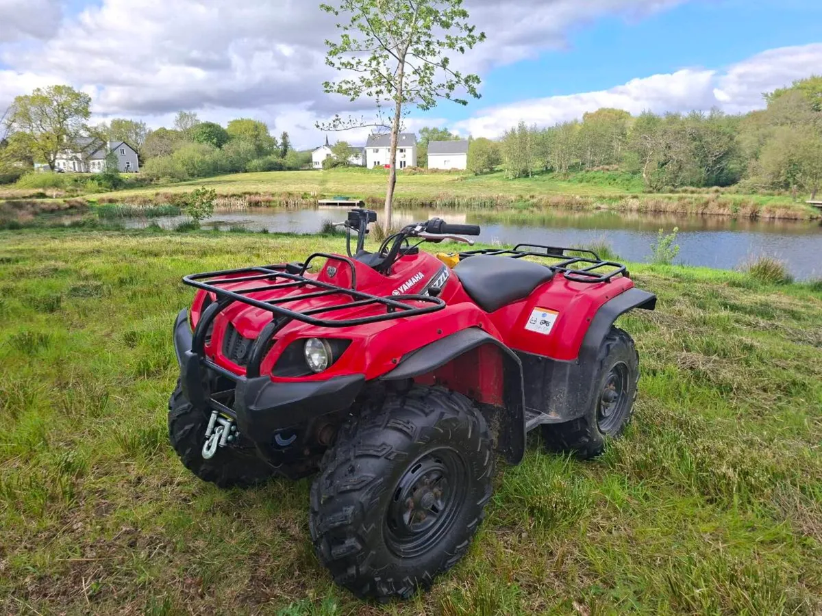 Yamaha Grizzly 350cc - Image 4