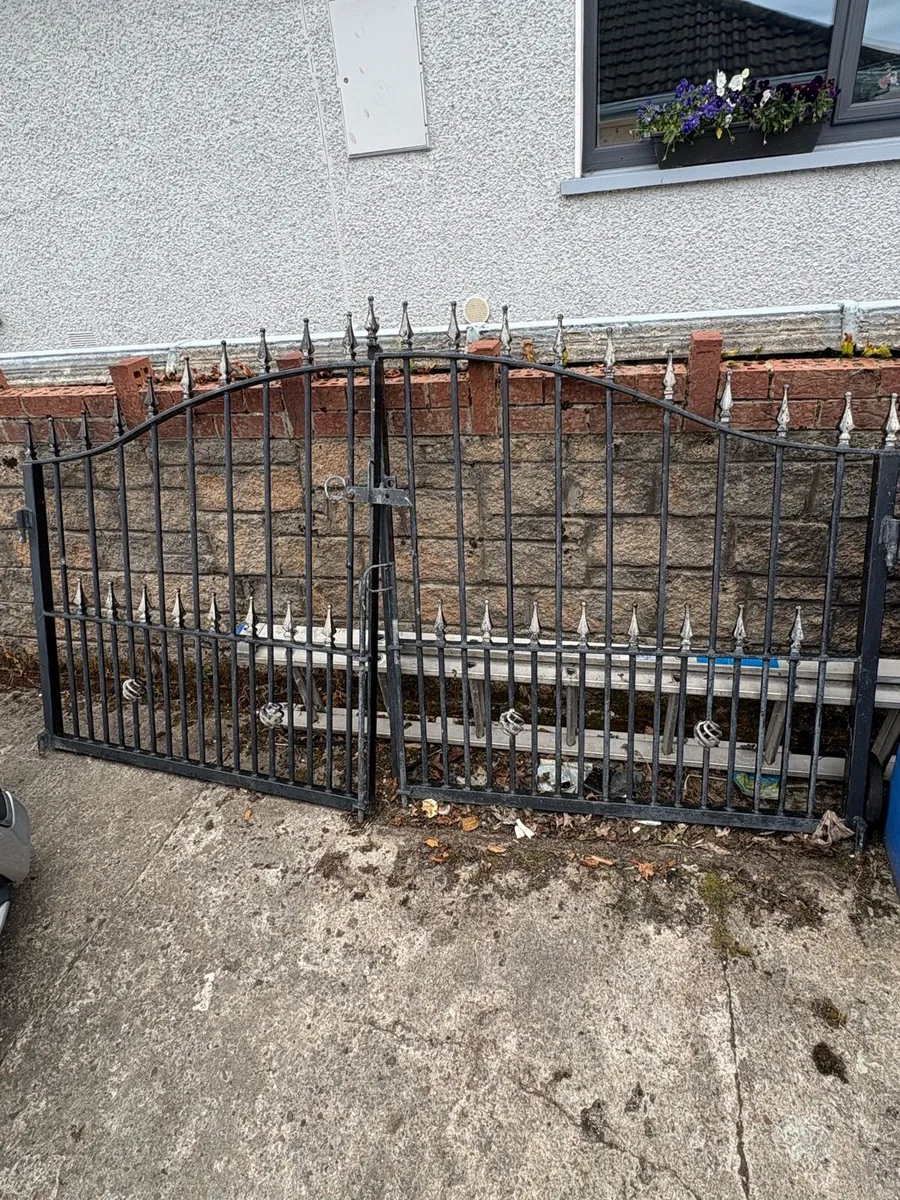 Iron gates - Image 1