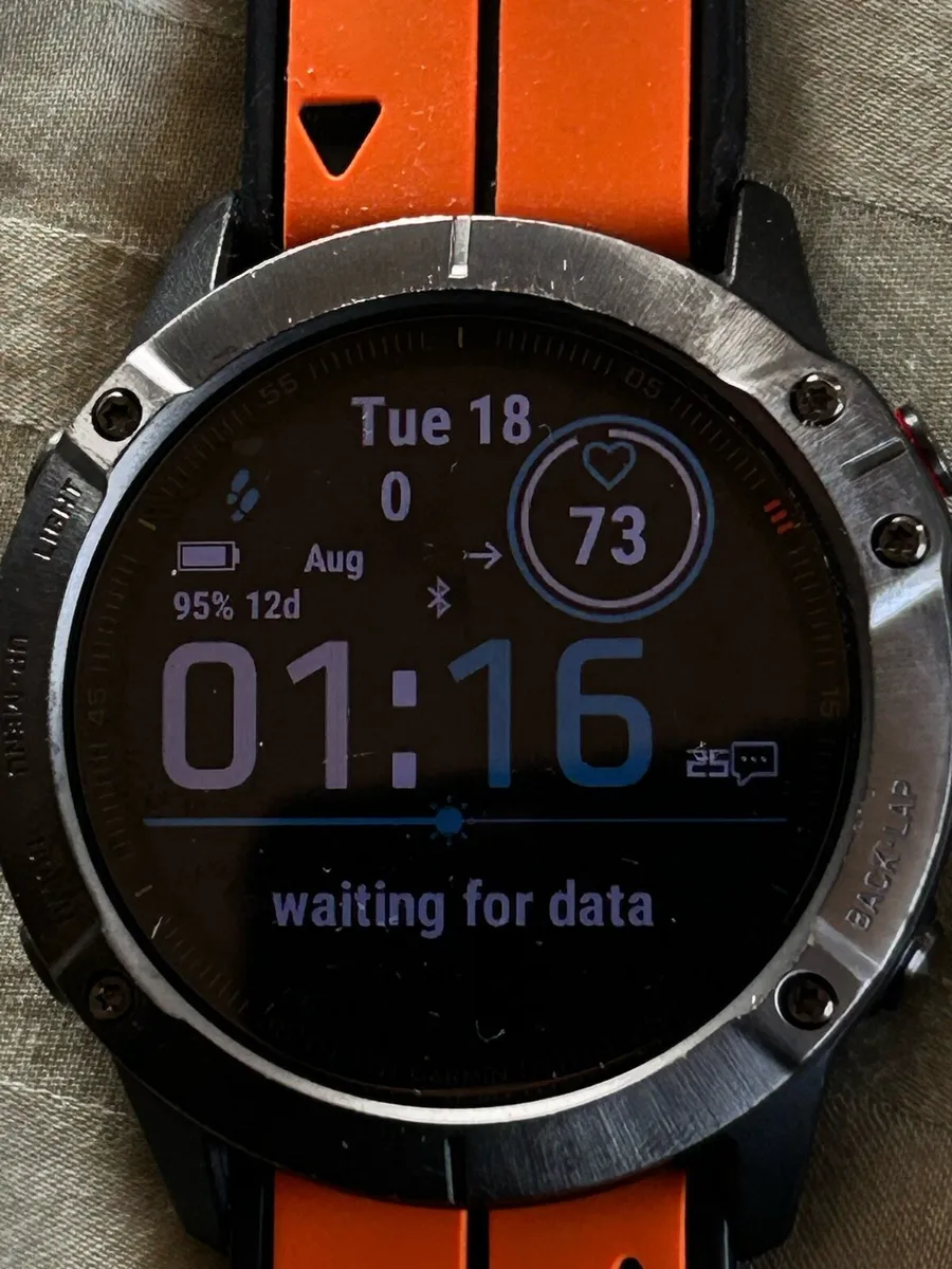Garmin Pro Fenix 6X - Image 1