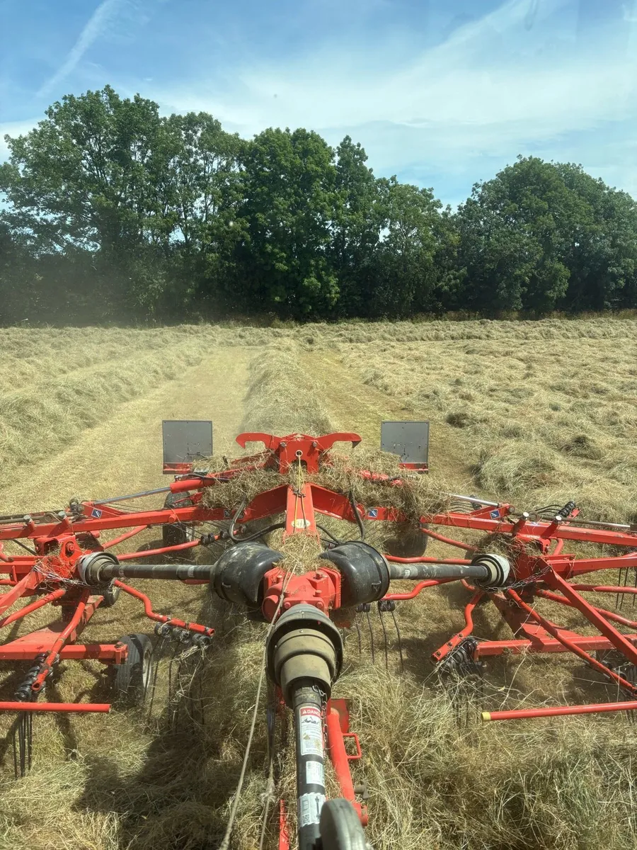 **Top quality horse haylage** - Image 2