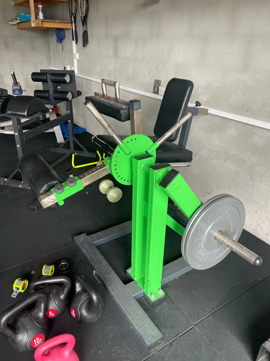 Commercial Leg extension/ leg curl - Image 1