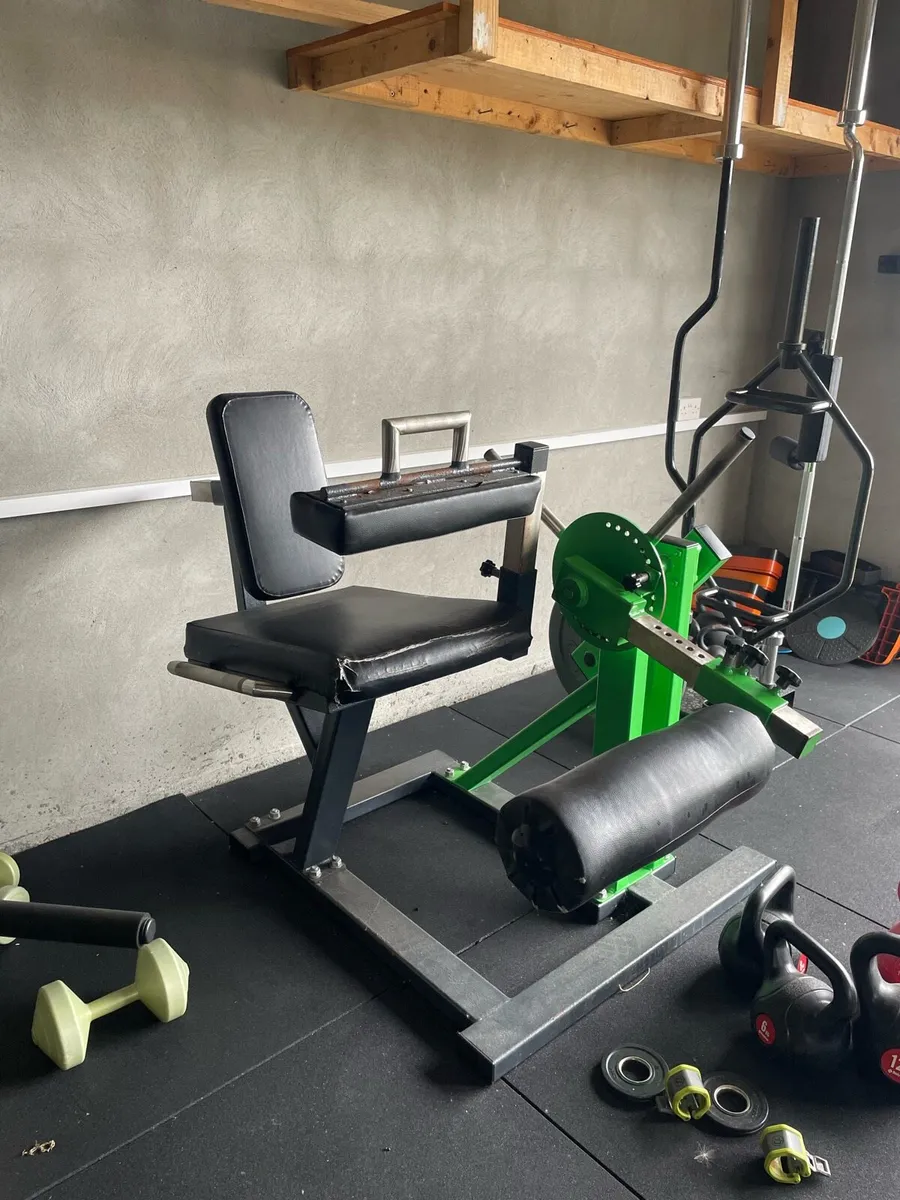 Commercial Leg extension/ leg curl - Image 2