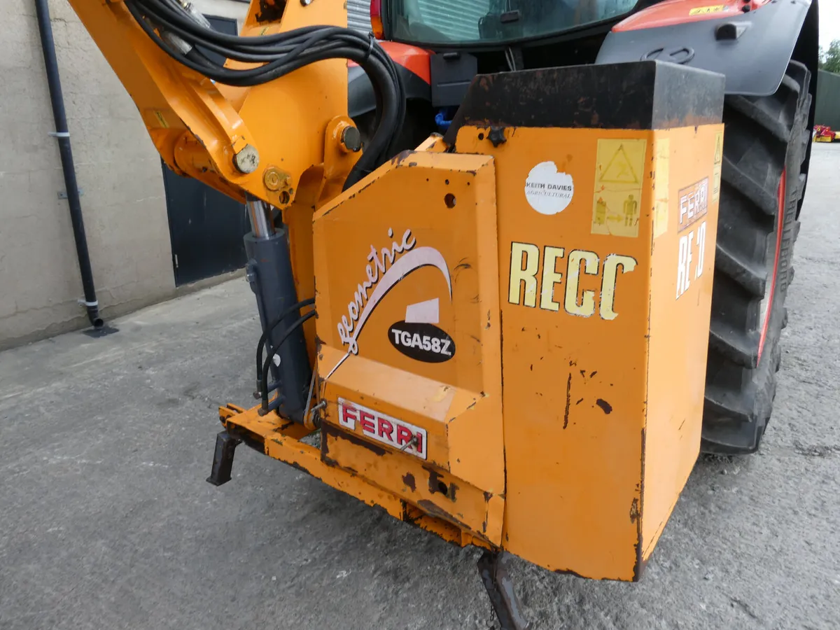 Ferri Telescopic Hedgecutter - Image 4