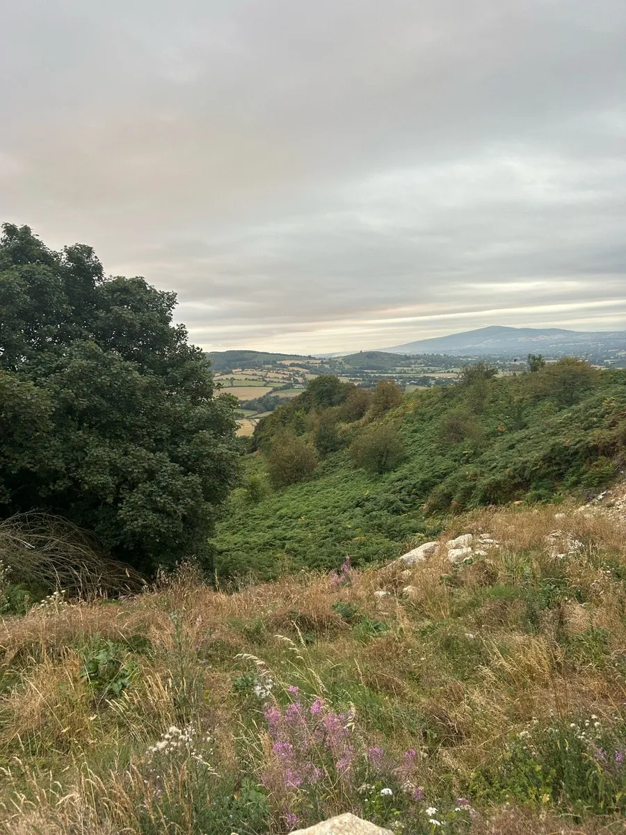5ac site for sale - Image 2