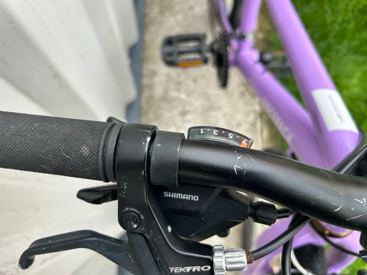 Ridgeback Dimensions 24 bike - Image 3