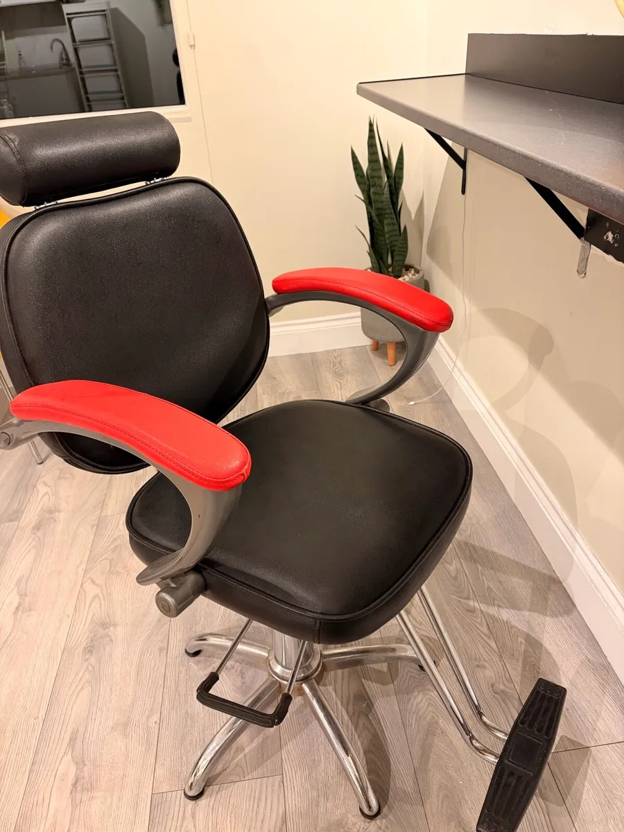 2 Salon Chairs - Image 3