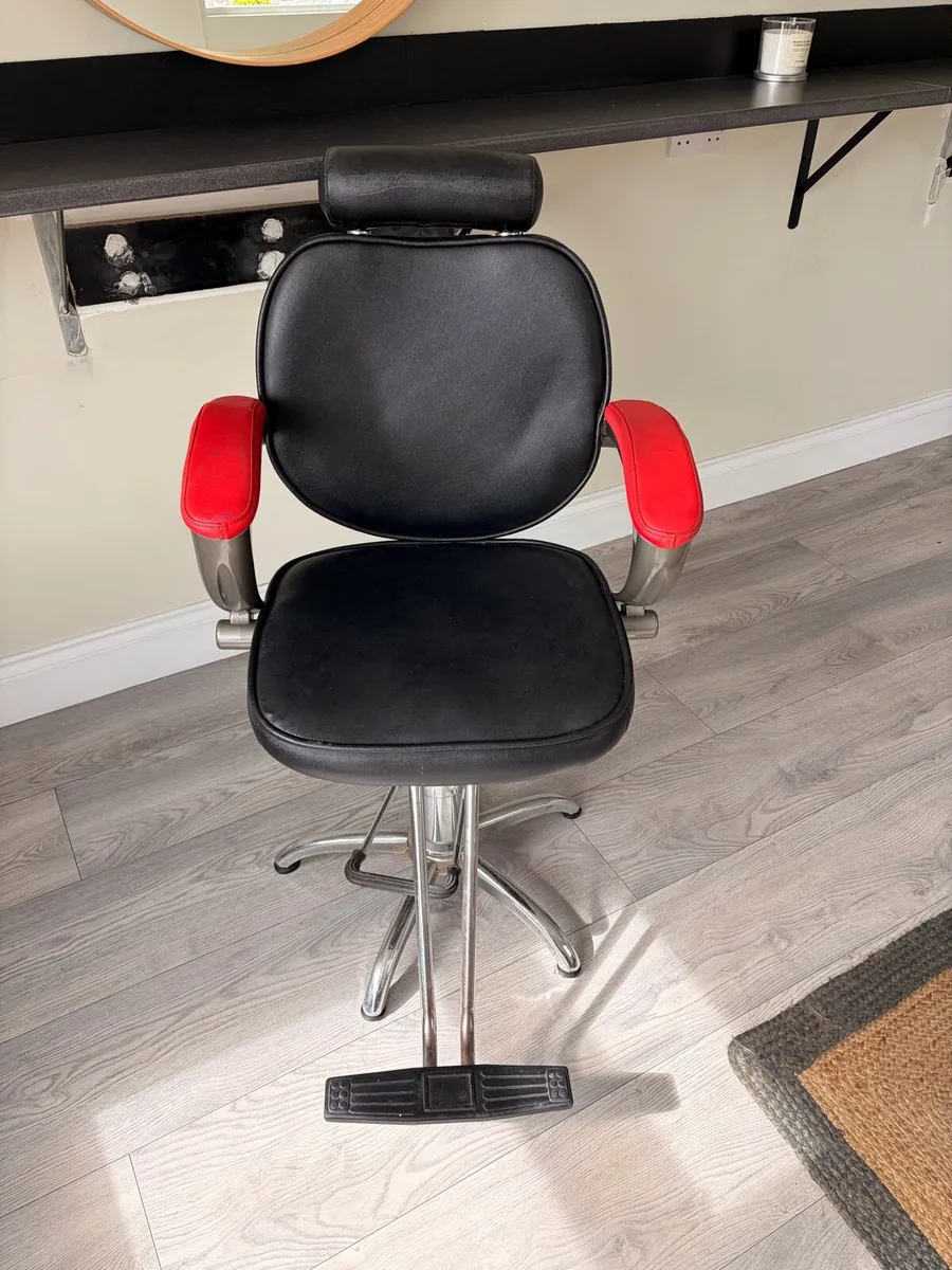 2 Salon Chairs - Image 1