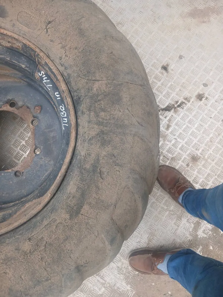 Thwaites 9 Tonne Dumper Wheel - Image 3