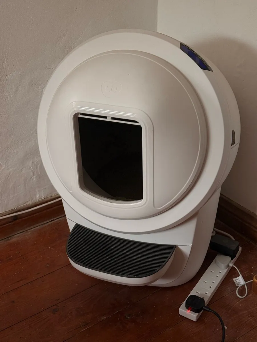 Spayed Sphynx Cat + Litter Robot - Image 2