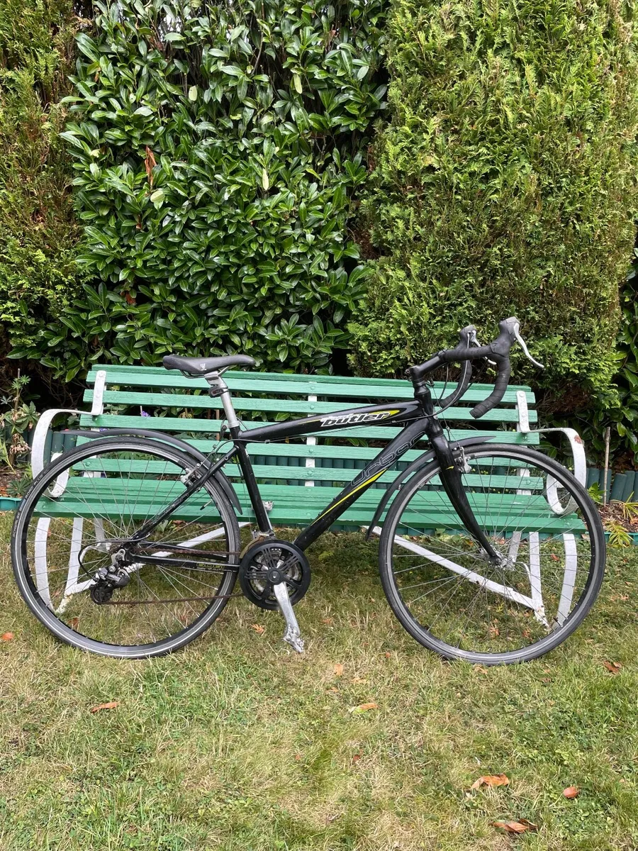 Bike - Image 1