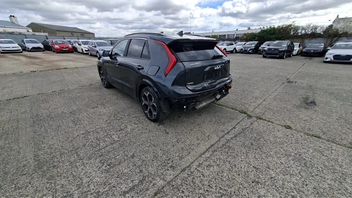 25 Niro…Hybrid - Image 3