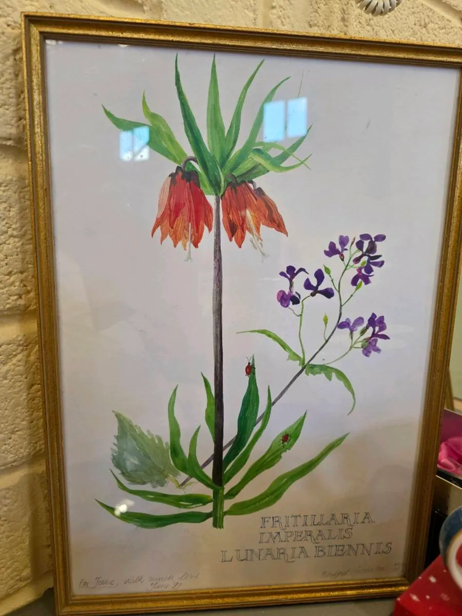 RARE ORANGE WATERCOLOURS, Signed Wall Art Frame ! - Image 1