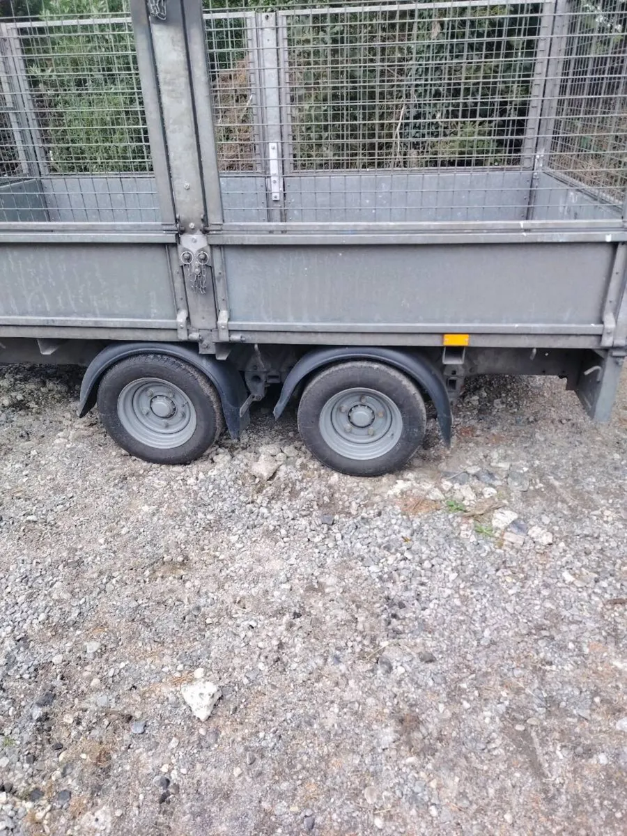 Ifor Williams 10 by 5 trailer - Image 4