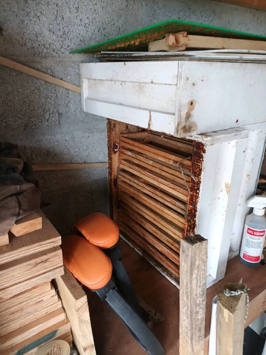 Bees and bee keeping - Image 3