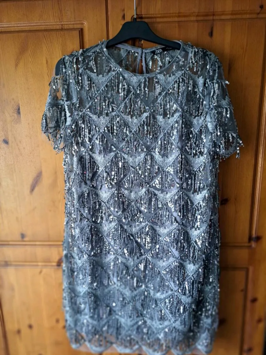 Zara silver lace and sequence dress - Image 1