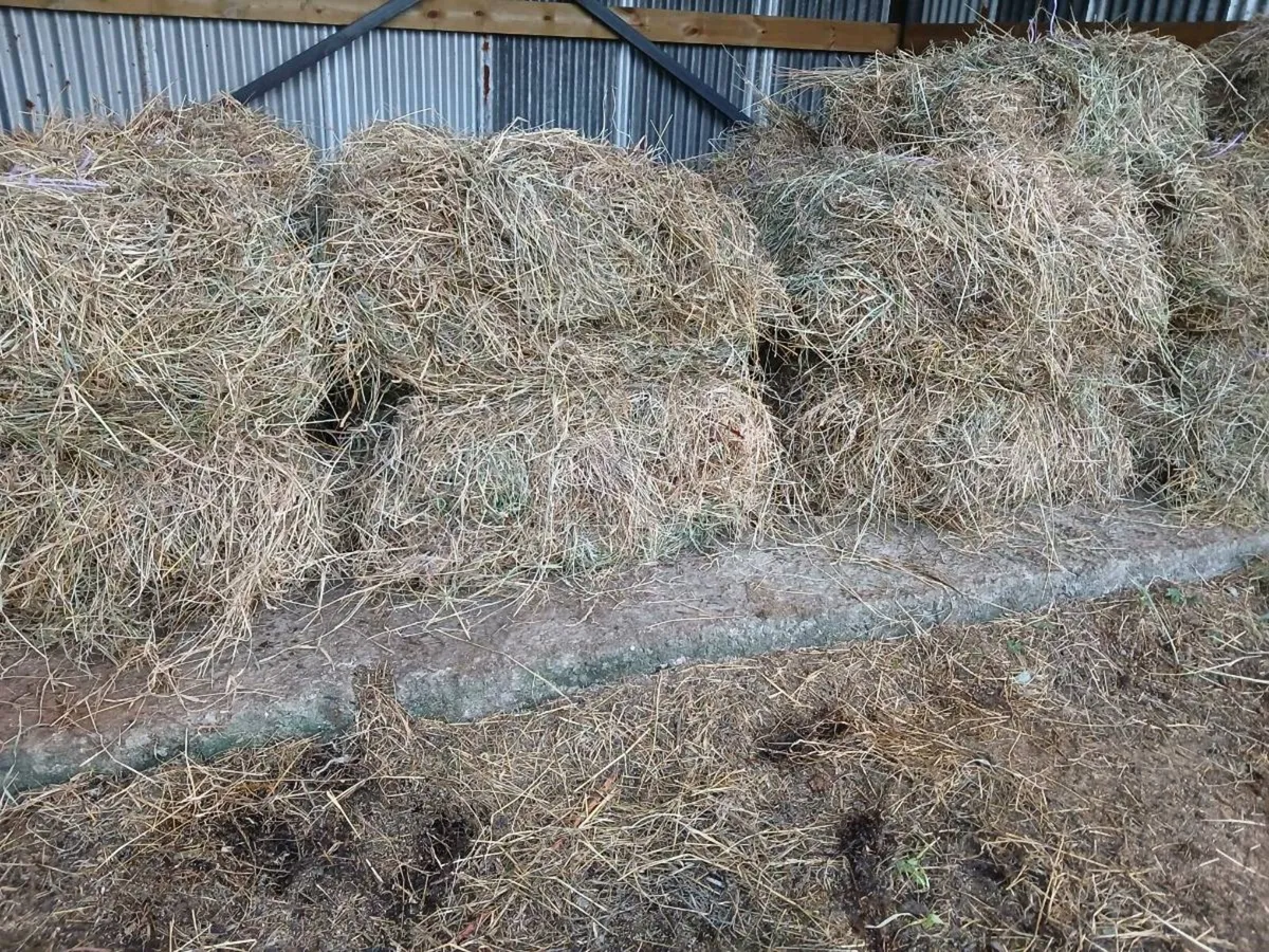 Small hay stacks - Image 1
