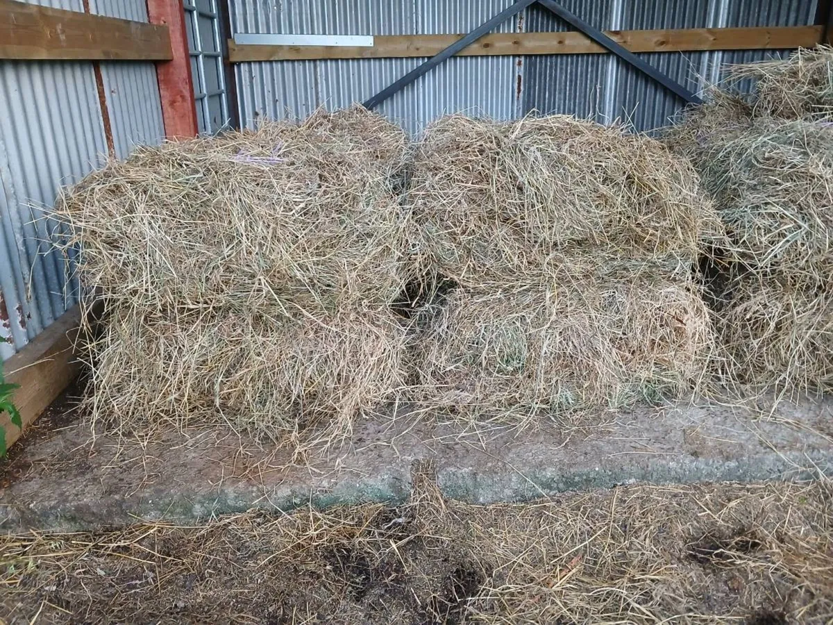 Small hay stacks - Image 2