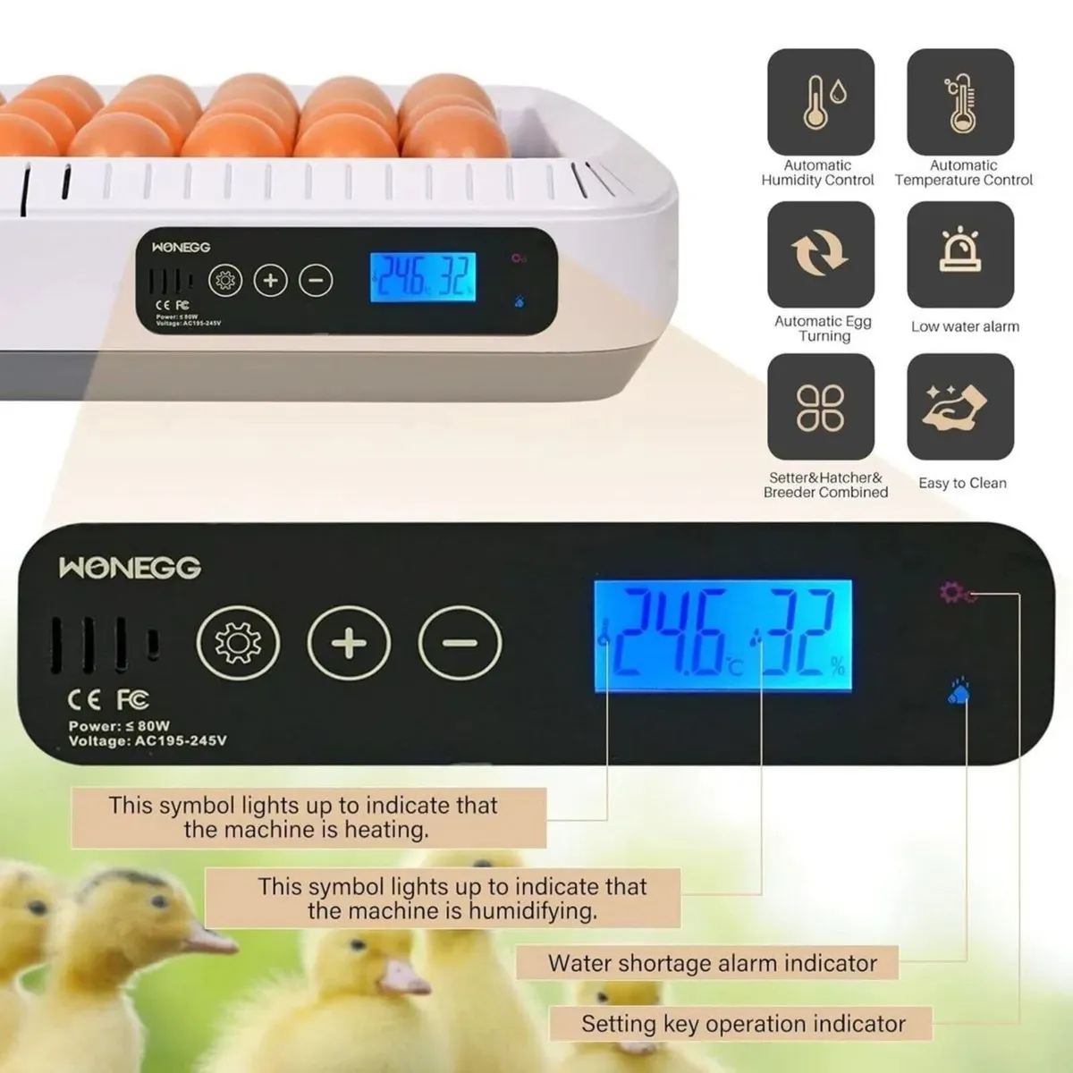 Egg Incubator 35 Egg Auto Turn Temperature - Image 2
