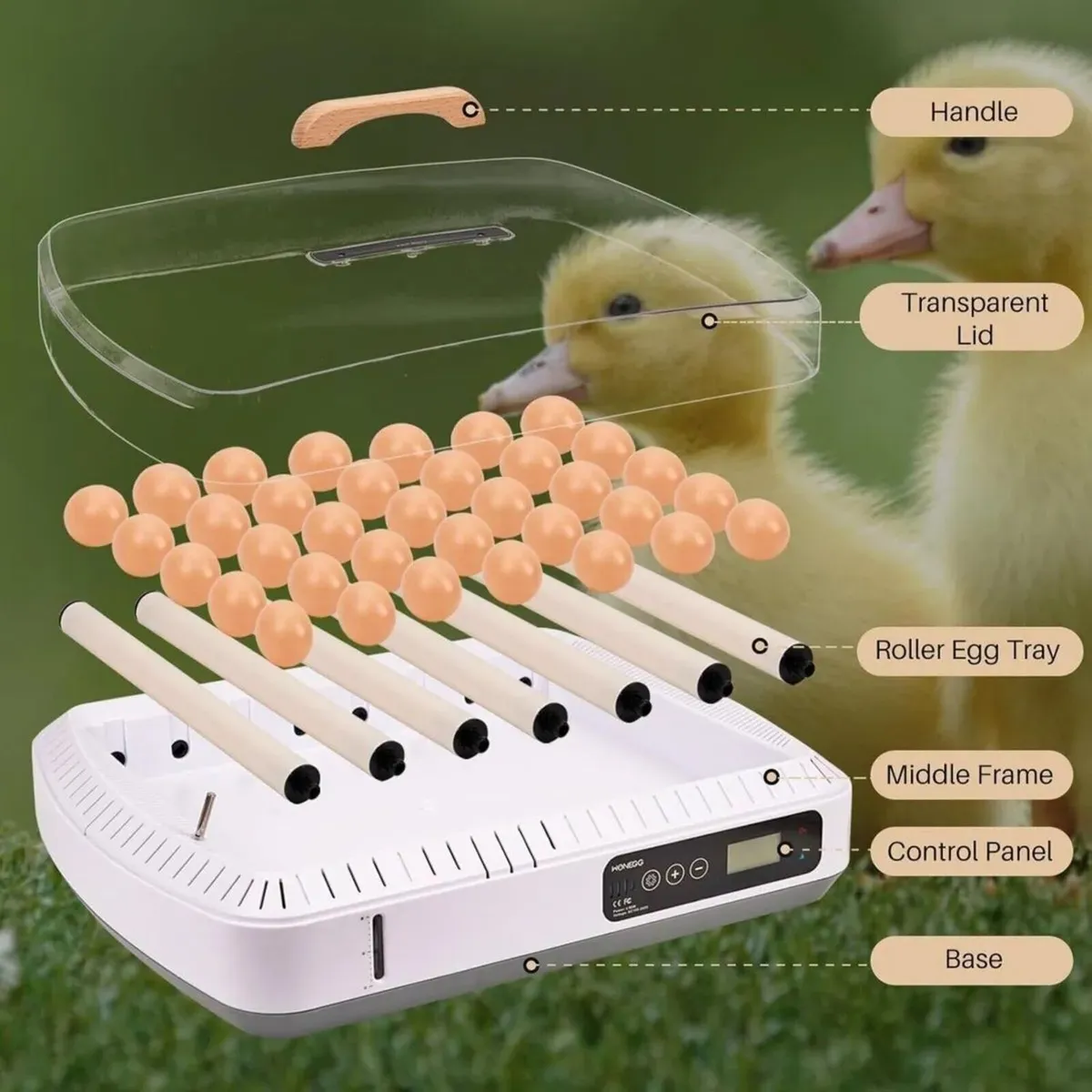 Egg Incubator 35 Egg Digital Auto Turner - Image 3