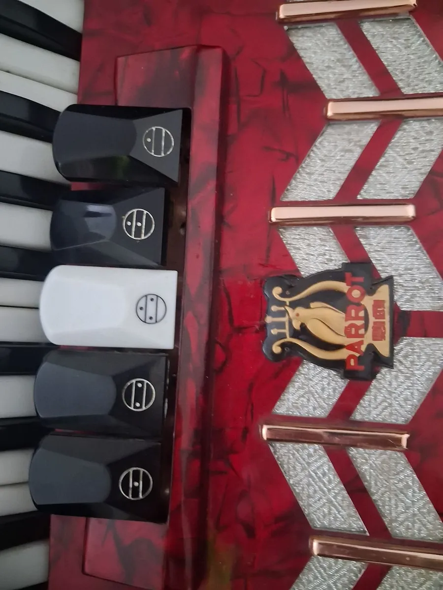 Accordian Music - Image 2
