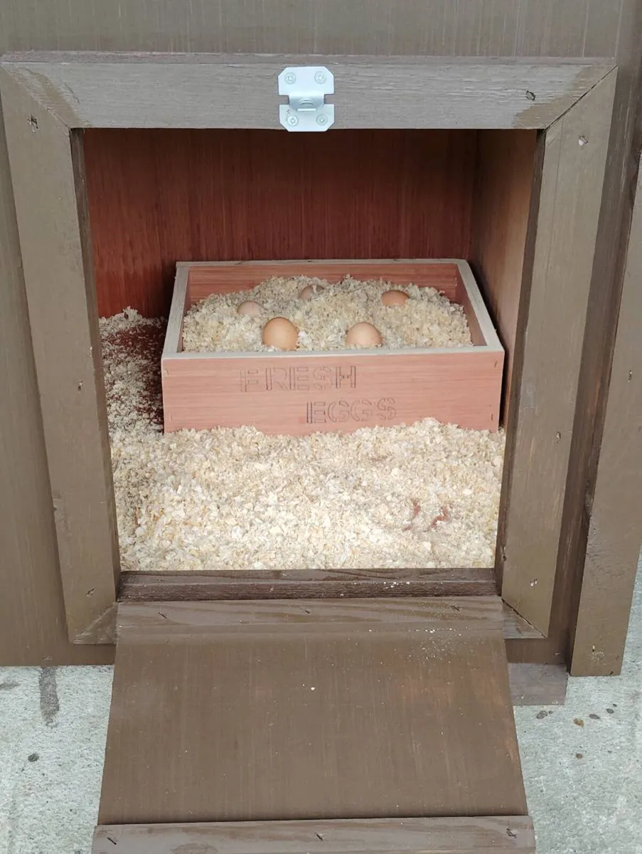 Chicken Coop - Image 4