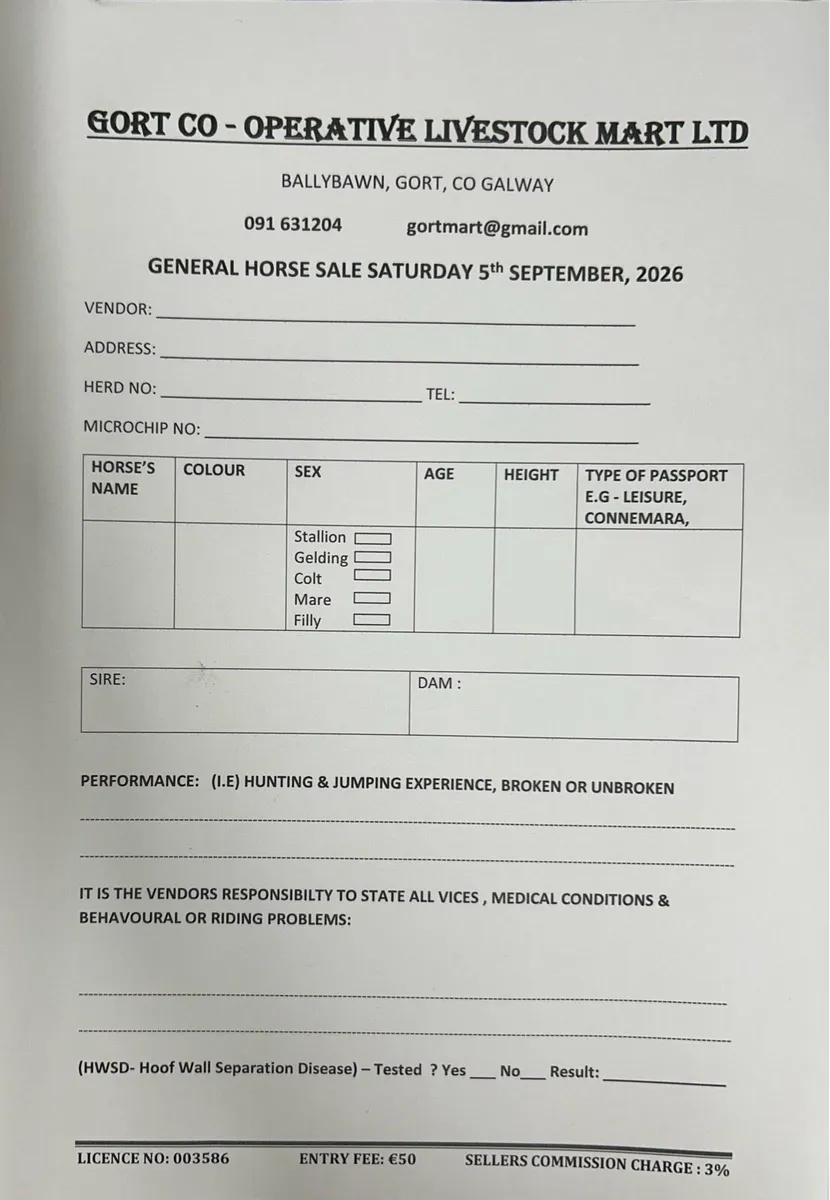 Gort Mart: Pre entry Horse sale : Sat 5th Sept - Image 1