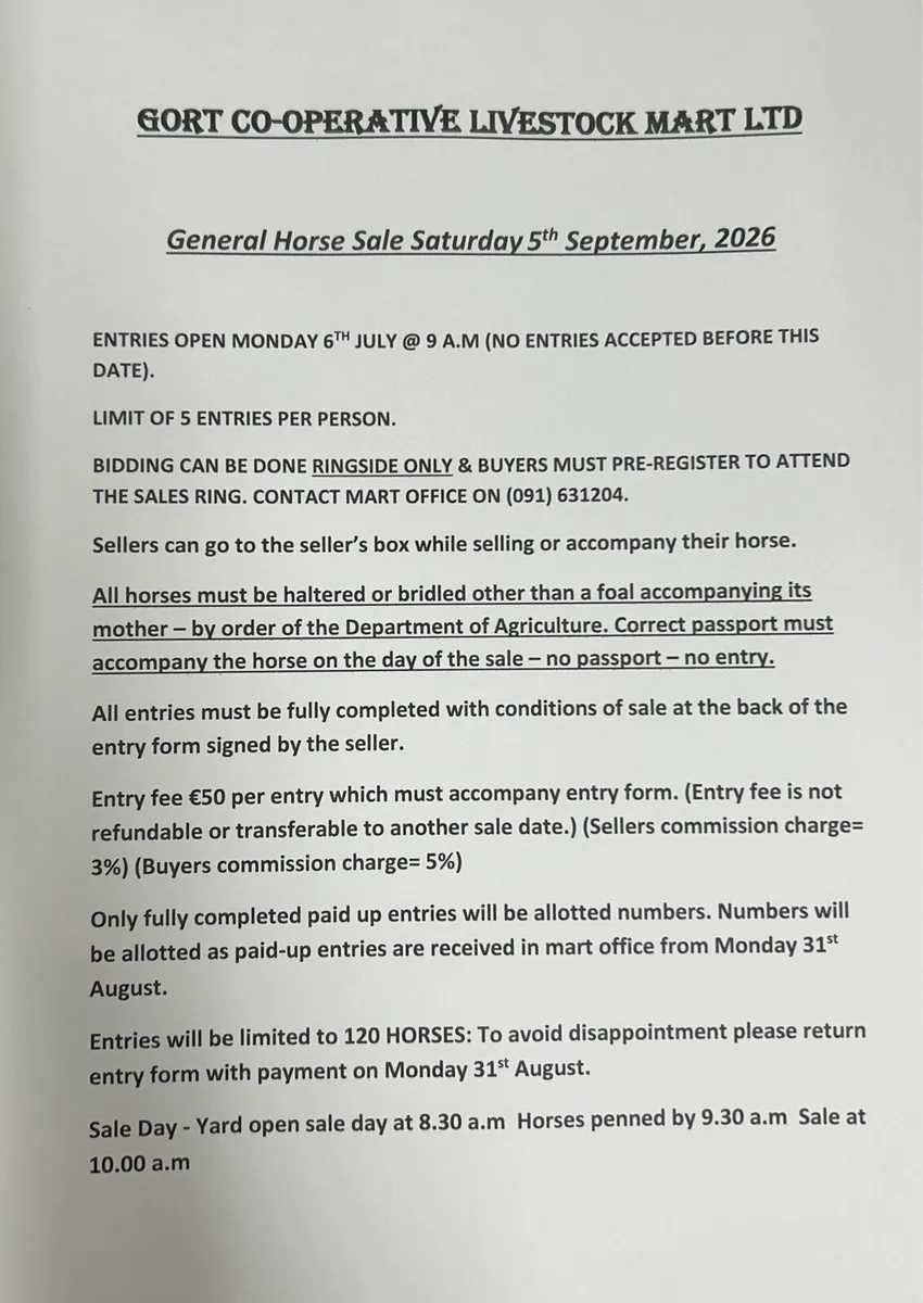 Gort Mart: Pre entry Horse sale : Sat 5th Sept - Image 3