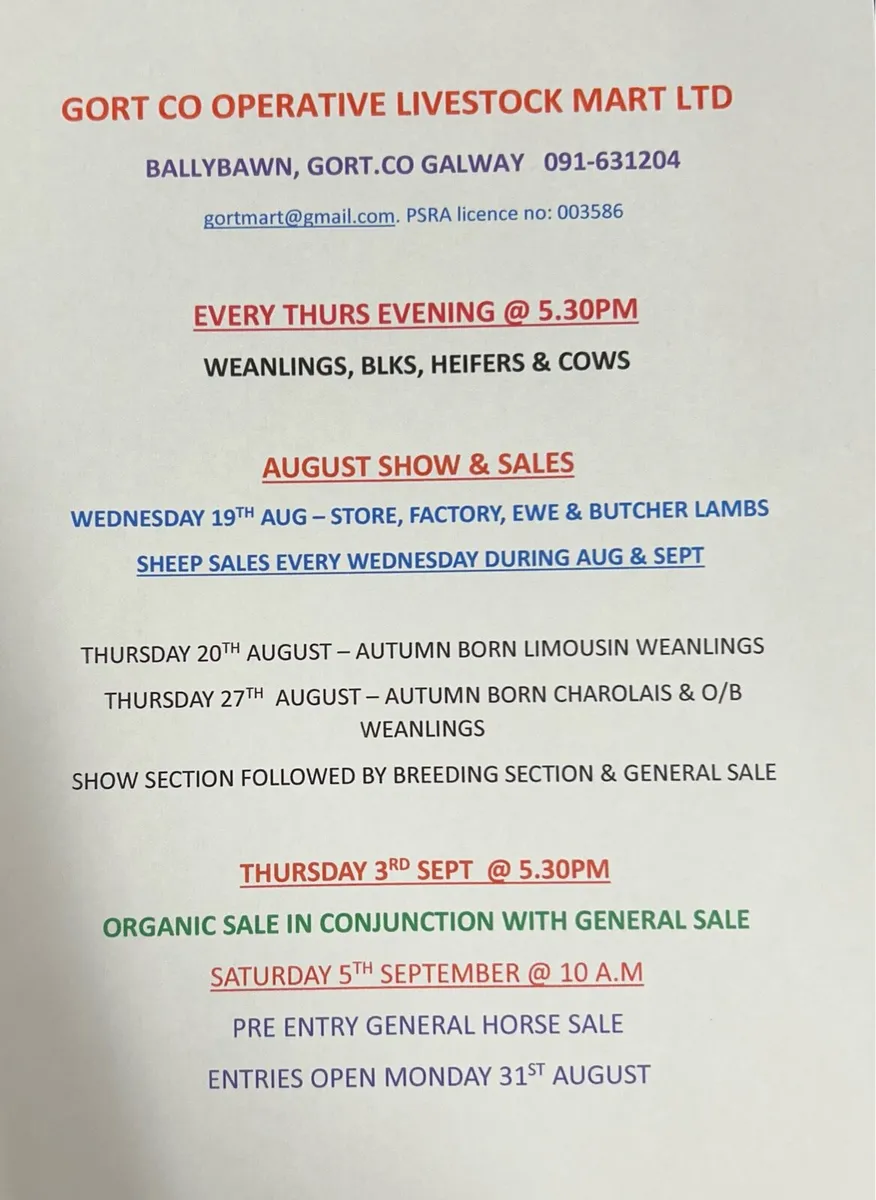 Gort Mart: Pre entry Horse sale : Sat 5th Sept - Image 4