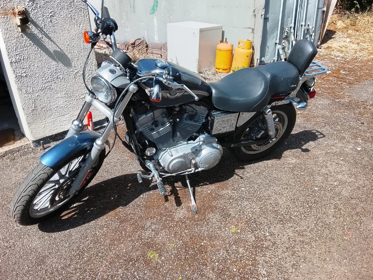 HARLEY DAVIDSON sportyear 883 100 year anniversary - Image 3